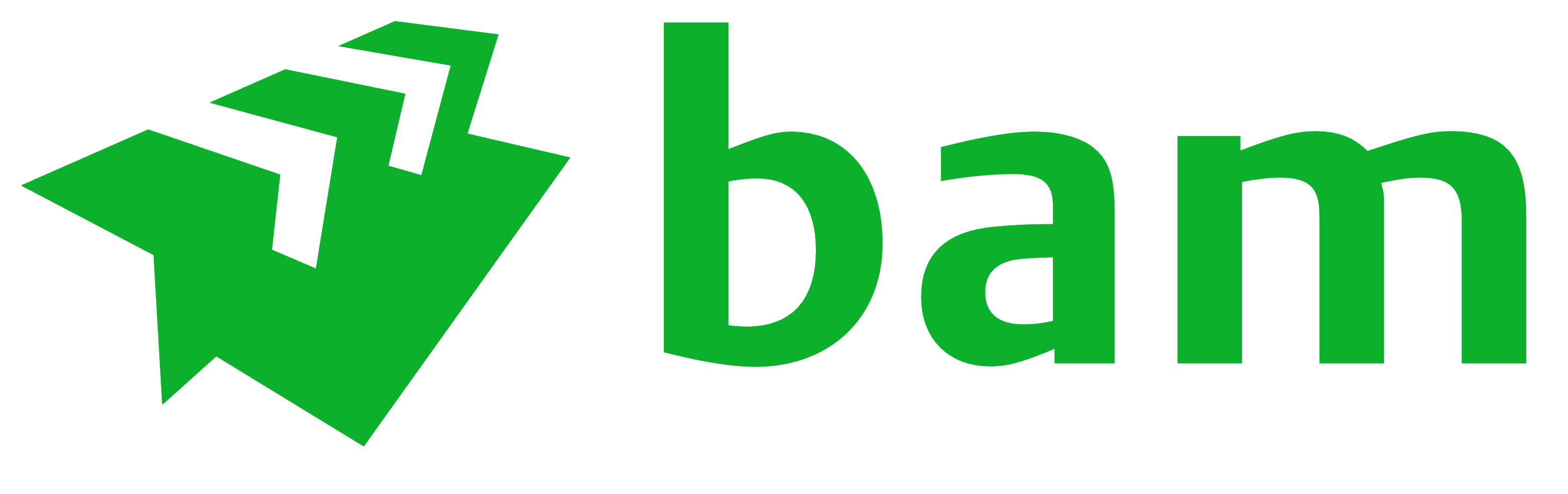 Royal BAM Group logo, logotype
