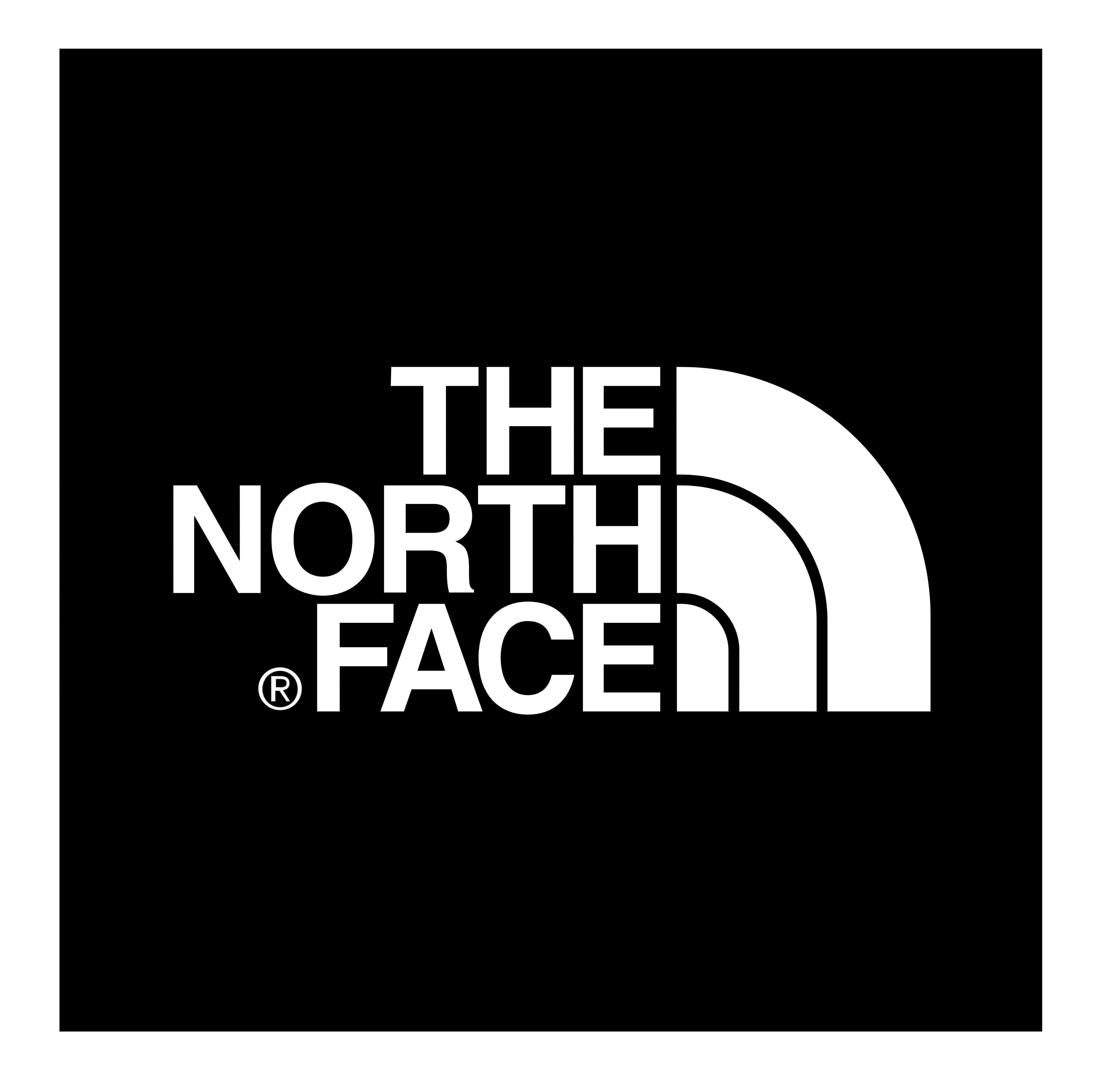 The North Face logo, logotype