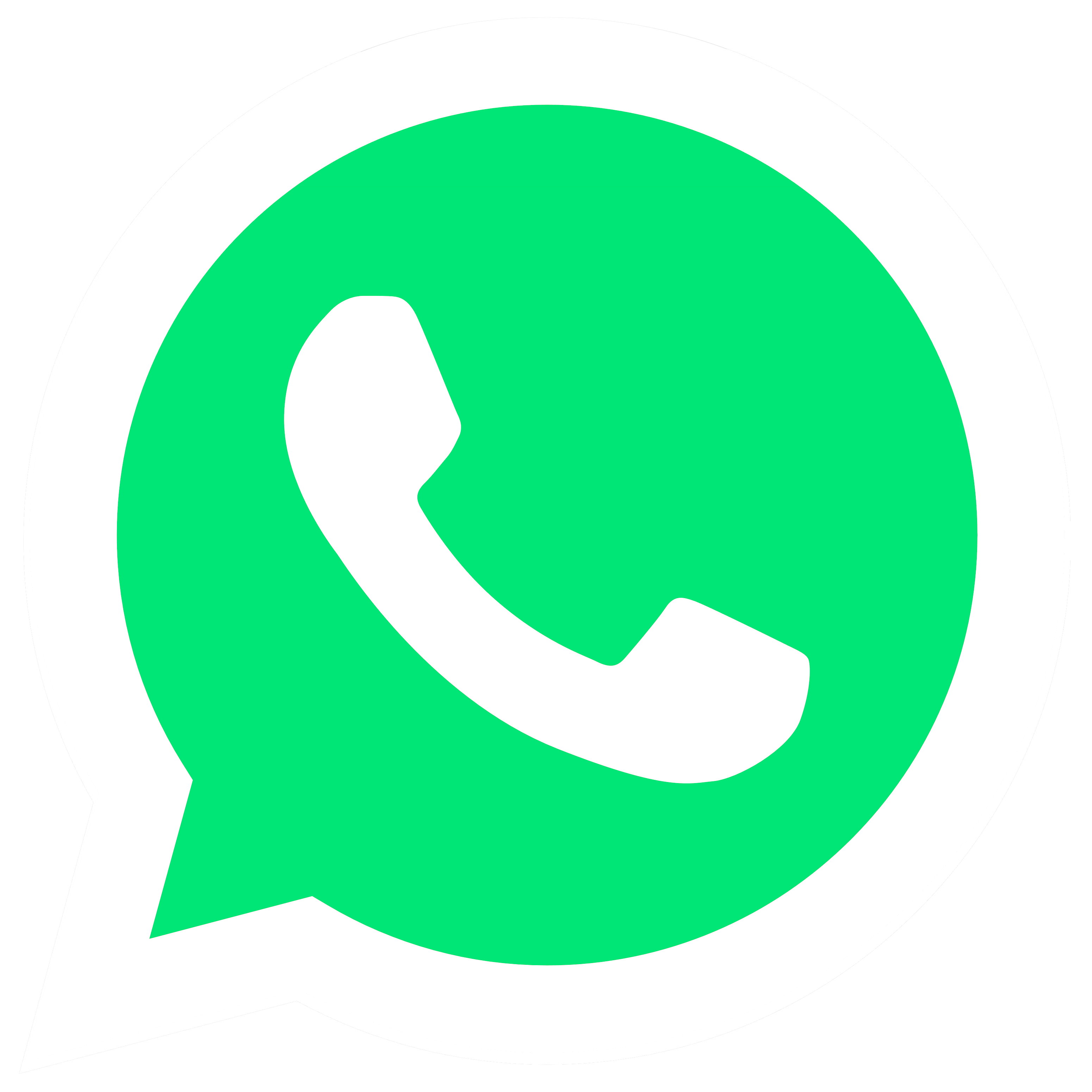 WhatsApp logo, logotype