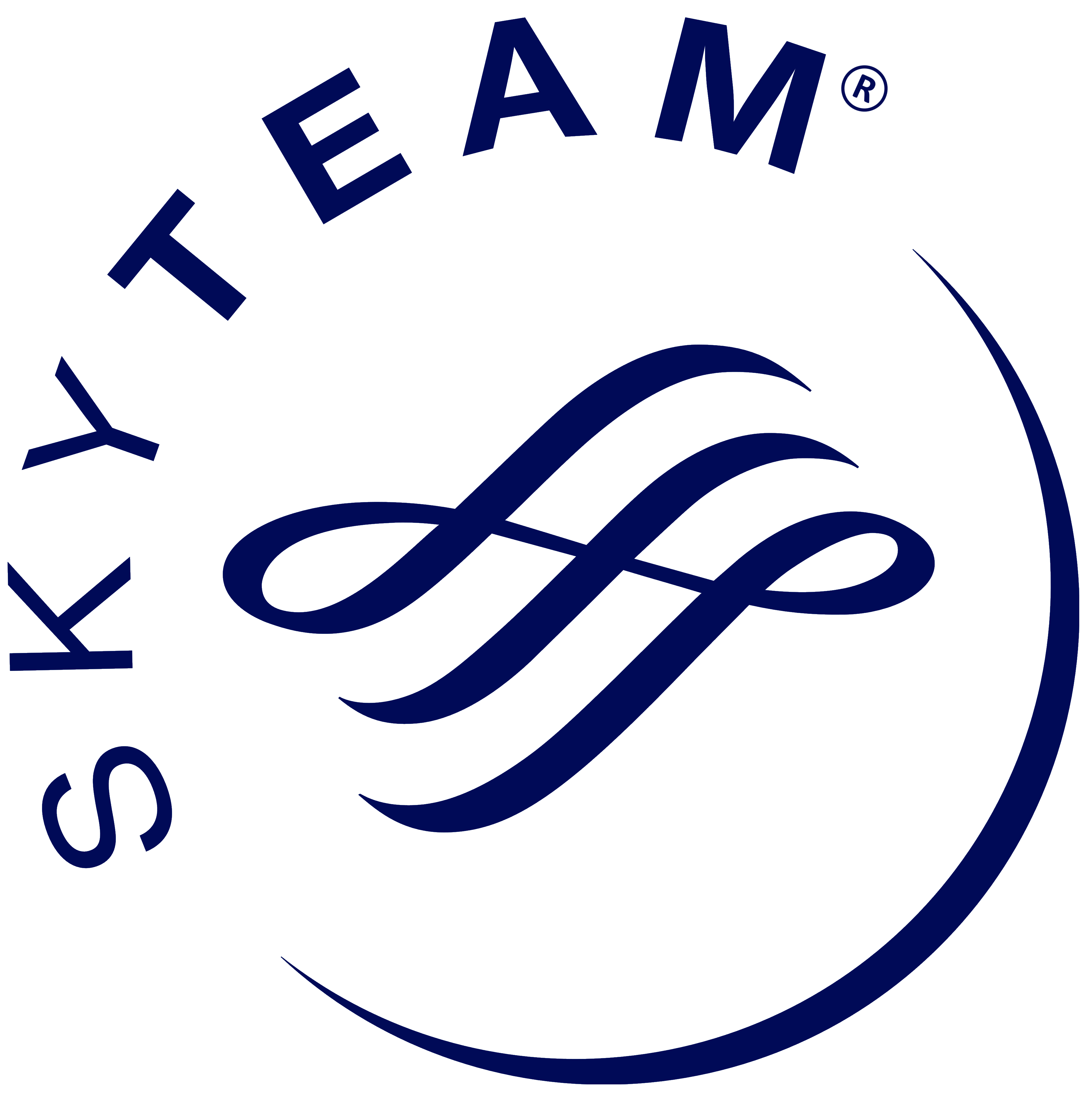 SkyTeam logo, logotype