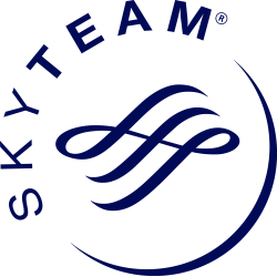 SkyTeam logo, logotype