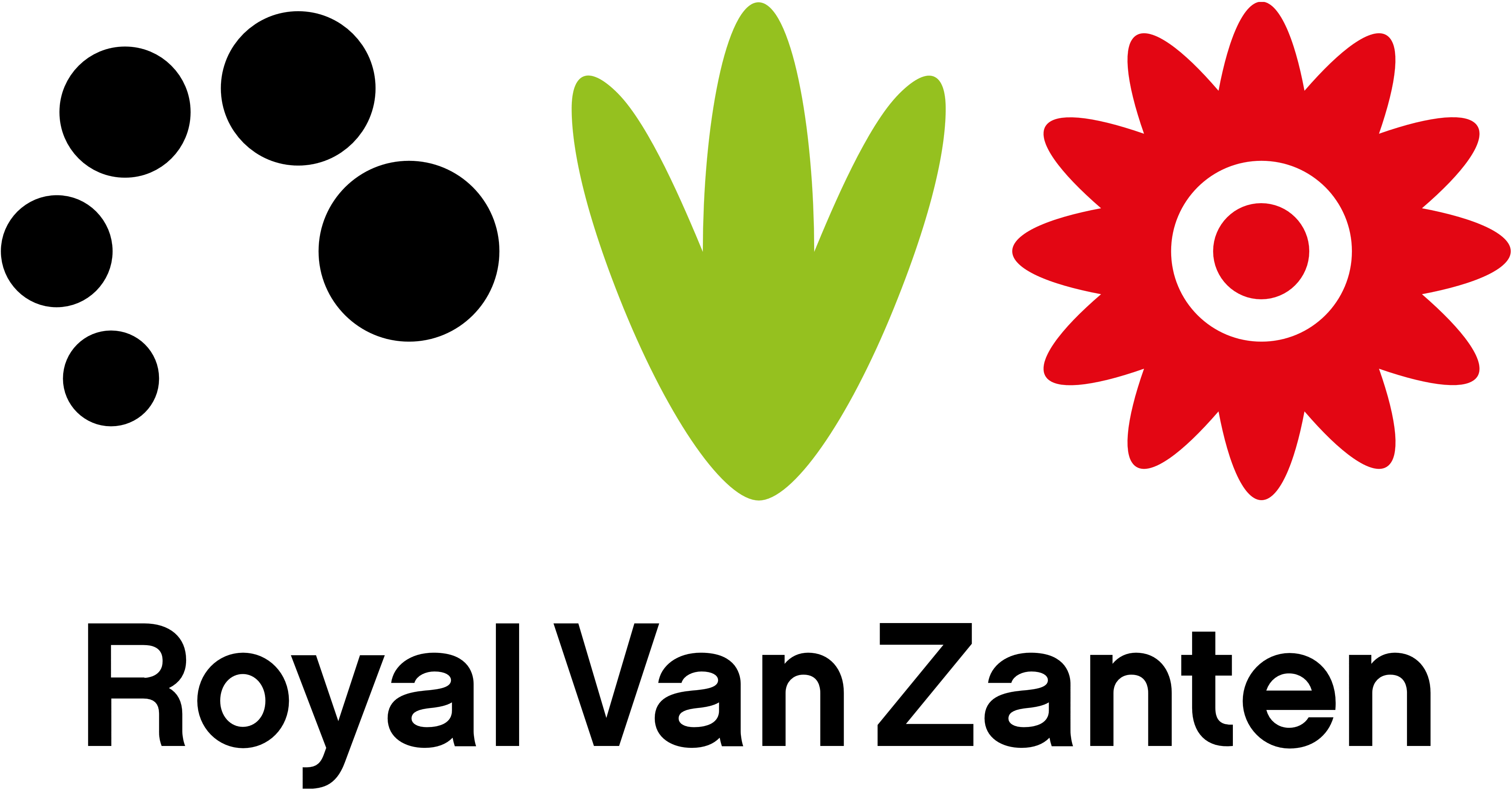 Royal Van Zanten logo, logotype